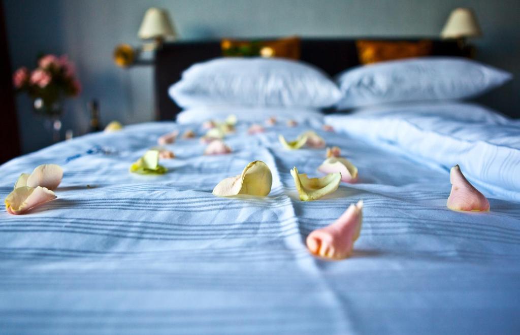 Shuma Hotell Dąbrowa Górnicza Rum bild